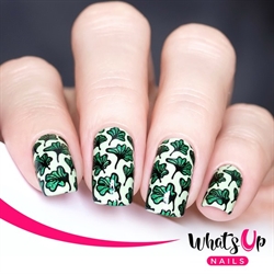 B071 The Whole Nine Gourds, stampingplade, Whats up Nails