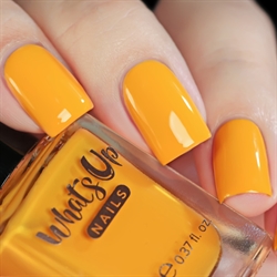 Bee or Not to Be, Shorter Days, Whats Up Nails
