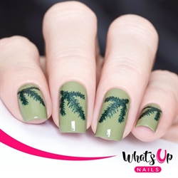 Evergreen Stencils, 2 ark, (40 stk) Whats Up Nails