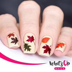 Fall Stencils, 2 ark, (40 stk) Whats Up Nails