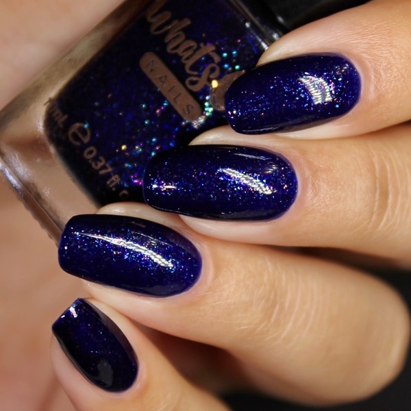Squid Escape, Shorter Days, Whats Up Nails