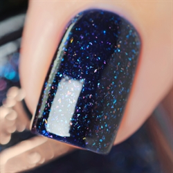 Squid Escape, Shorter Days, Whats Up Nails
